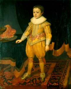 Toegeschreven aan Michiel van Mierevelt - Portret van Rupert prins van de Palts (1619-1682) - RCIN 405875 - Royal Collection