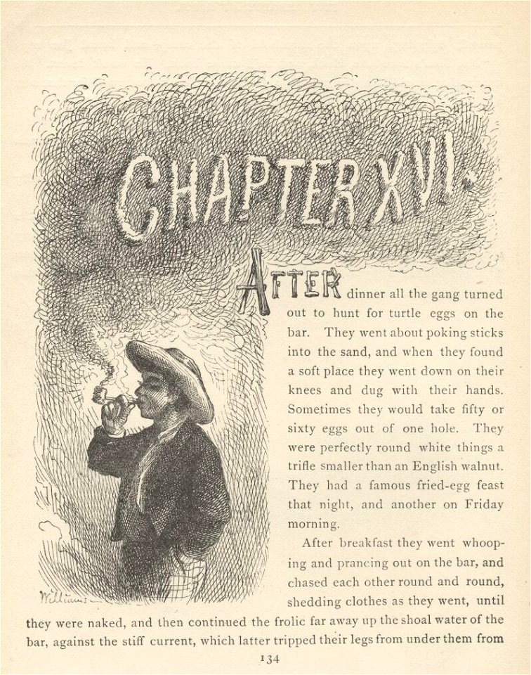 Tom Sawyer - 16-134