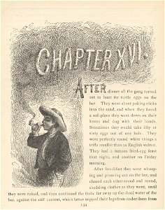 Tom Sawyer - 16-134