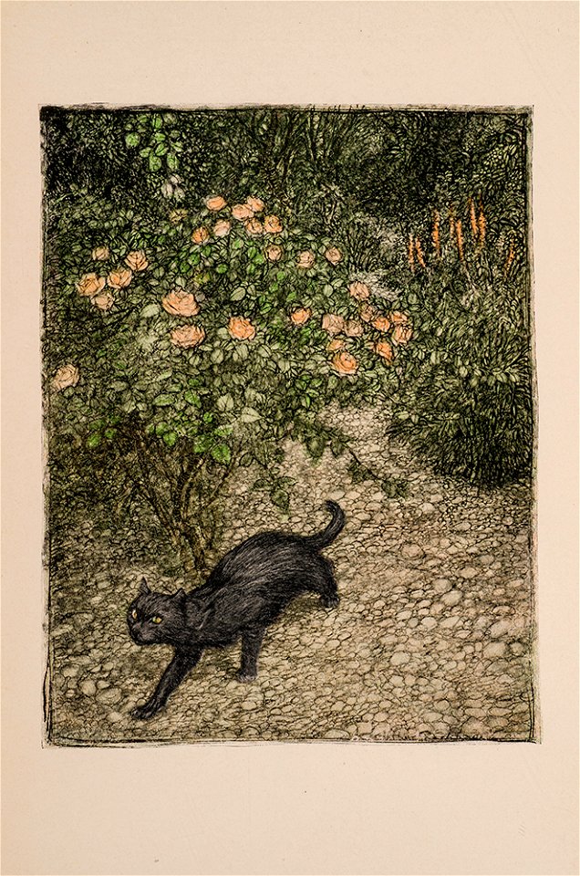 Tomasso the cat in the garden (Arthur Rackham)
