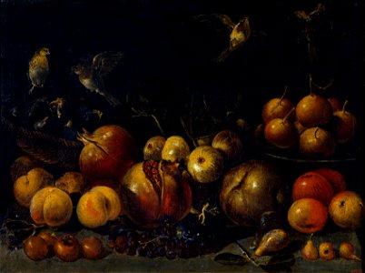 Tommaso Realfonso, 'Masillo' - Still Life with Pomegranates, Apples, Pears, Grapes, Figs and Birds - Google Art Project