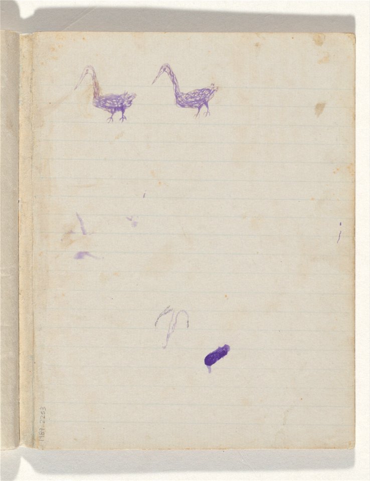 Tommy McRAE - Kwatkwat people - (Birds) Sketchbook mainly of activities of Aboriginals and Whites - Google Art Project (717281)