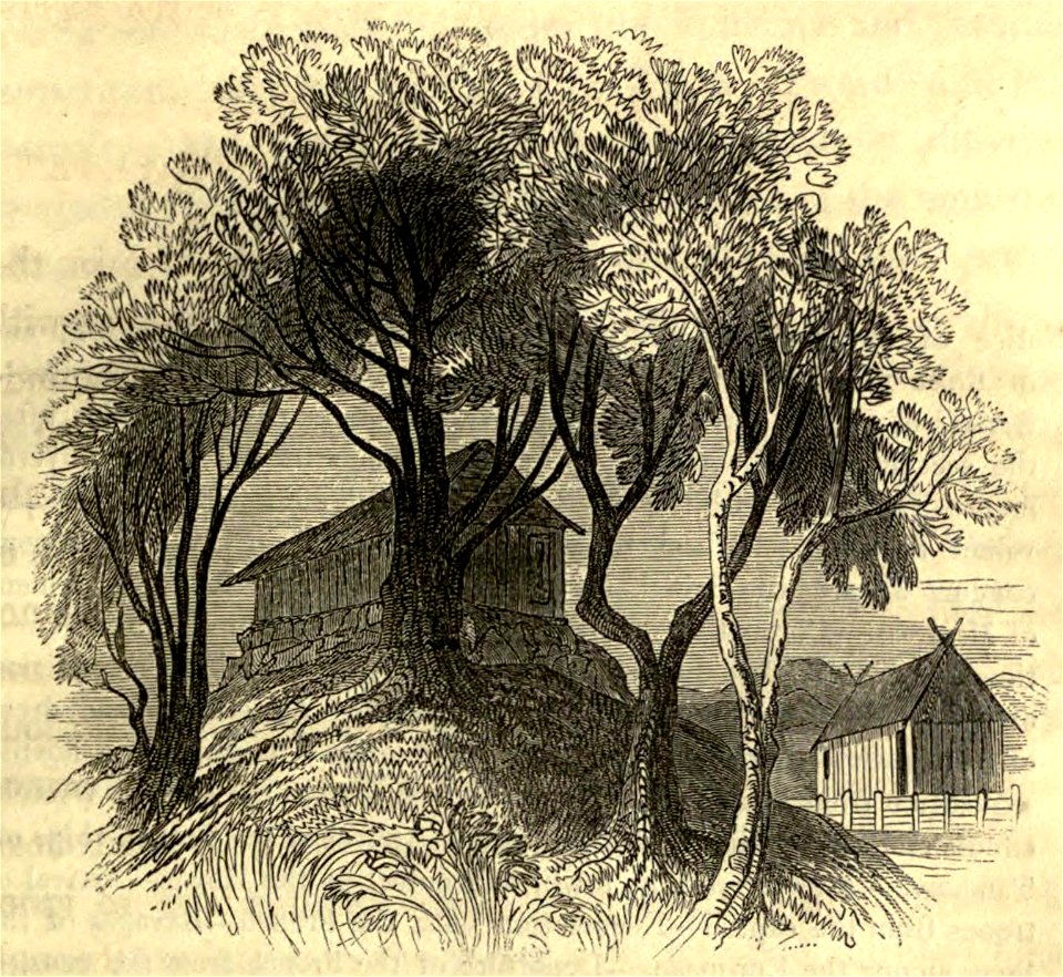 Tomb of the Prince Rataffe (1838)