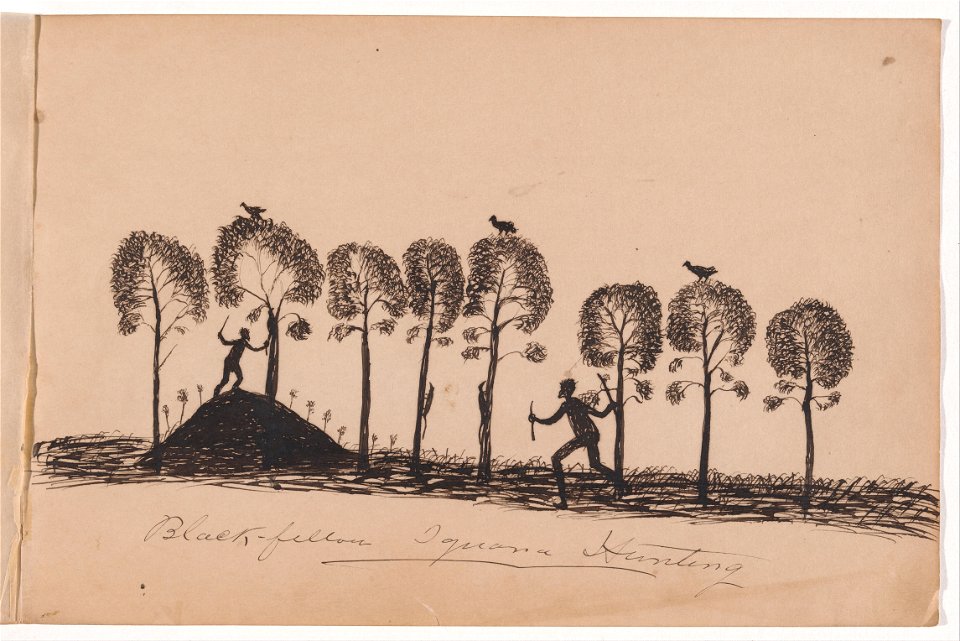 Tommy McRAE - Kwatkwat people - Black fellow iguana hunting-Sketchbook of Aboriginal activities - Google Art Project (715347)