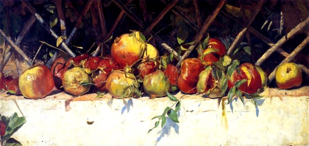 Tom Roberts, 1883 - Still life with pomegranates