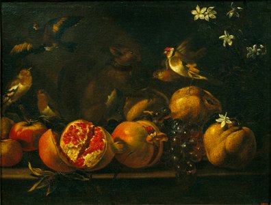 Tommaso Realfonso, 'Masillo' - Still Life with Pomegranates, Grapes, Birds and a Squirrel - Google Art Project. Free illustration for personal and commercial use.