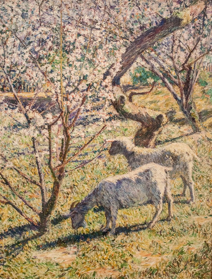 Torajiro, Kojima - Spring