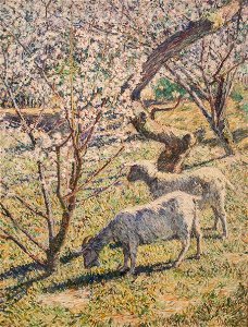 Torajiro, Kojima - Spring
