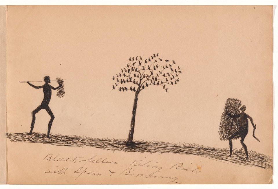 Tommy McRAE - Kwatkwat people - Black fellow killing birds with spear and boomerang-Sketchbook of Aboriginal activities - Google Art Project