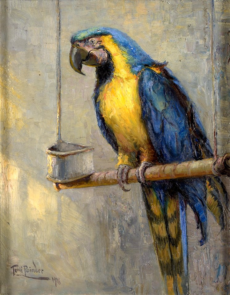 Tony Binder Papagei 1918