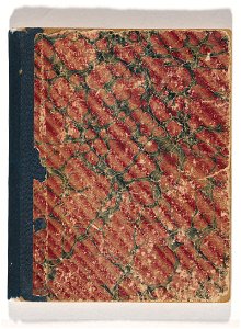 Tommy McRAE - Kwatkwat people - Sketchbook of Aboriginal ceremonies and everyday observations of Aboriginal people and European sett... - Google Art Project