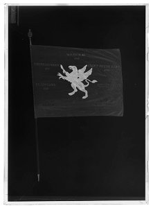 Tornersvärd, kort - Livrustkammaren - 17596-negative