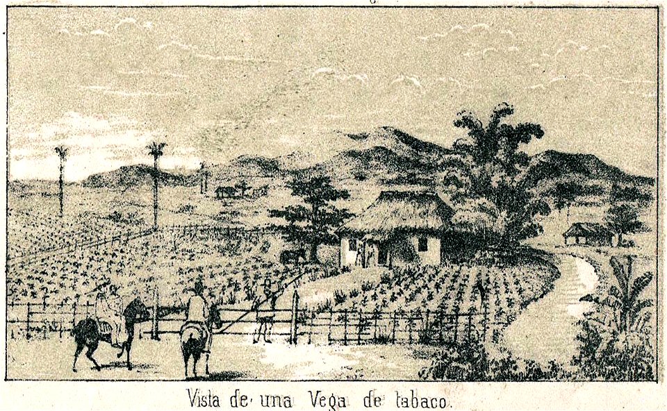 Torrre 1848 Vega