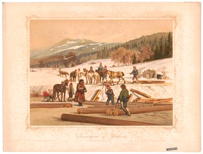 Tommerkjorsel og maerkning LCCN2003681659