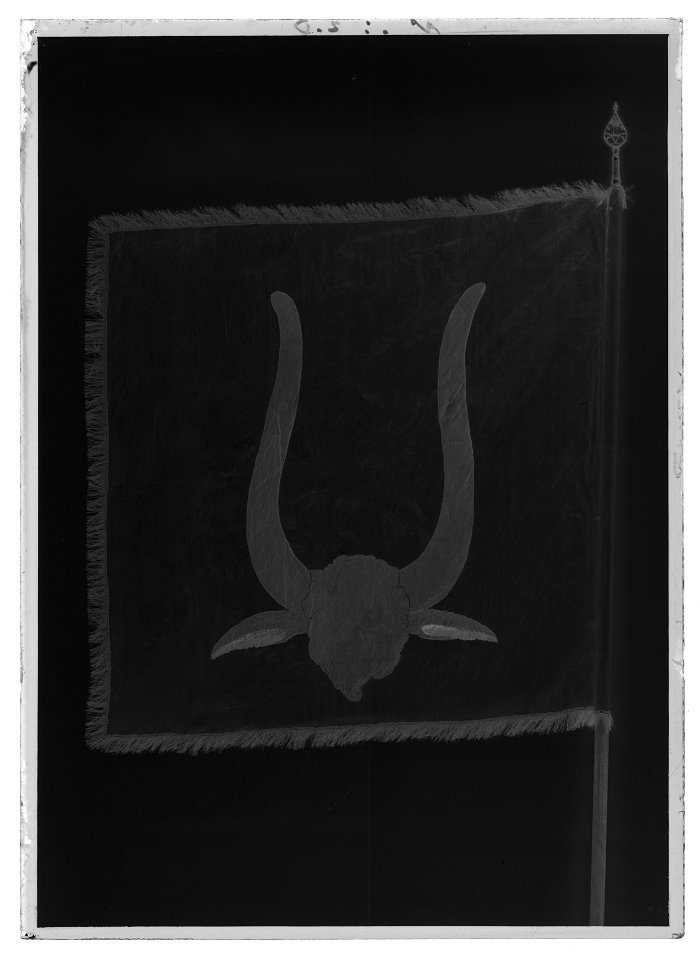 Tornerbanér - Livrustkammaren - 1267-negative