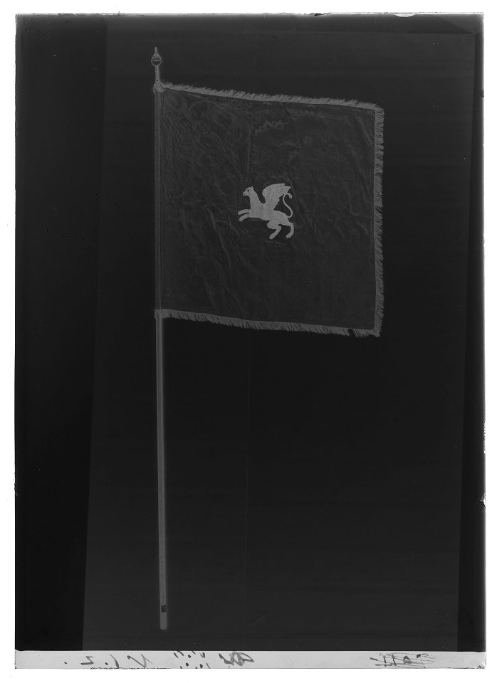 Tornerbanér - Livrustkammaren - 78312-negative