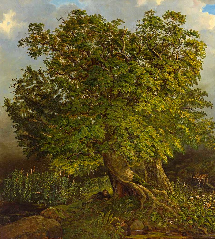 Tornau Eiche 1842