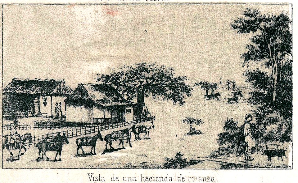 Torrre 1848 Crianza