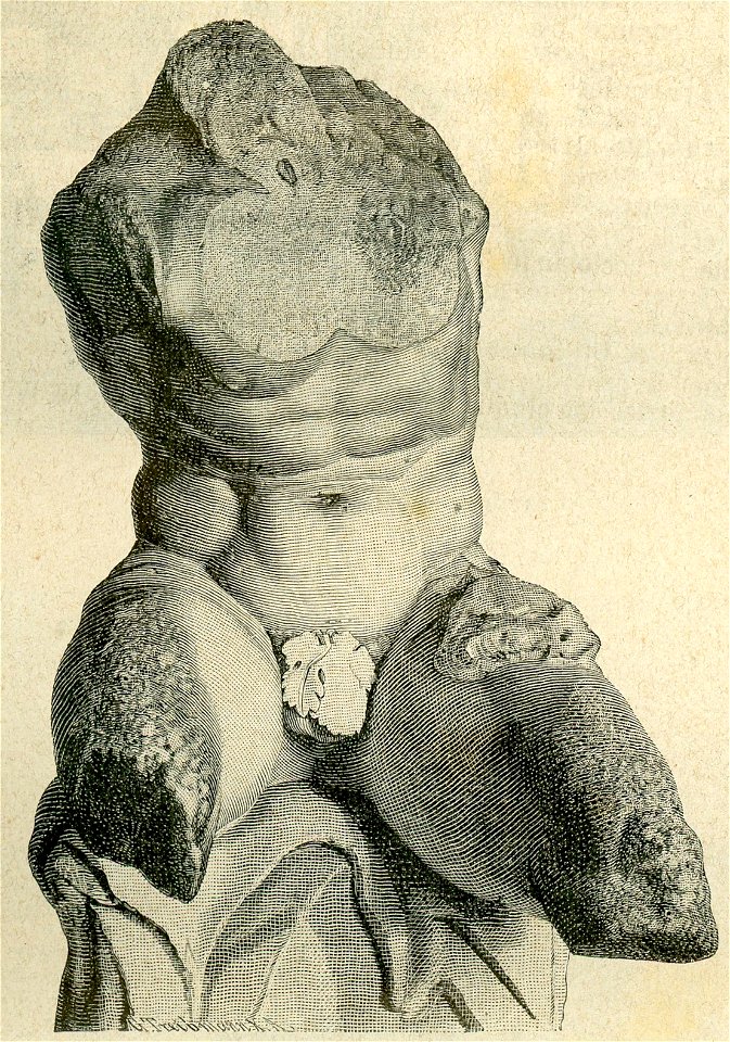 Torso di Ercole del Belvedere (xilografia)