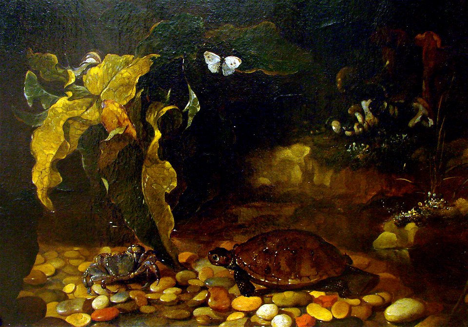 Tortue et crabe P Porpora Nancy 3018