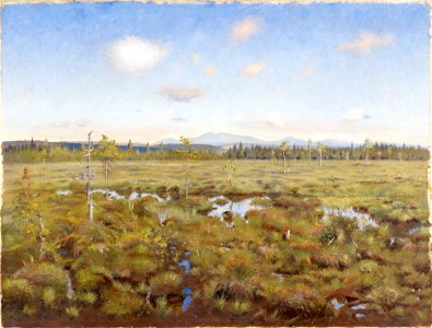 Torsten Wasastjerna - Landscape from Lapland