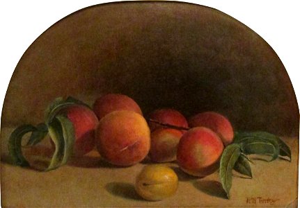 Peaches by Hiram Dwight Torrey