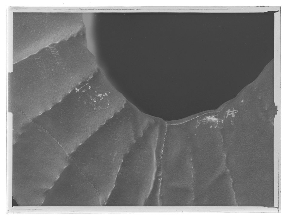 Tornerhalsputa - Livrustkammaren - 71152-negative