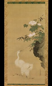 Tosa Mitsuoki - Egrets and Cotton Roses - 2014.768.1 - Metropolitan Museum of Art