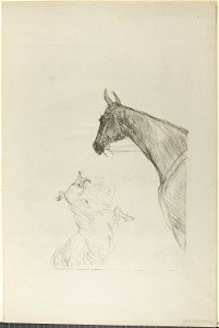 Toulouse-Lautrec - Horse and Collie, 1951.10