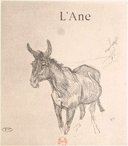 Toulouse-Lautrec - Delteil, 313