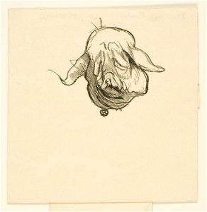 Toulouse-Lautrec - Tailpiece from Au Pied du Sinaï, 1950.1385.2