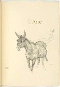 Toulouse-Lautrec - Histoires naturelles, 17