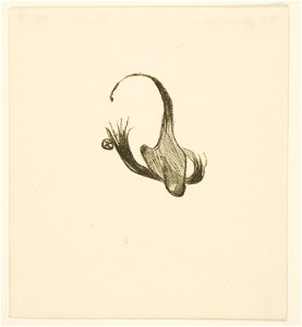 Toulouse-Lautrec - Tailpiece from Au Pied du Sinaï, 1950.1385.6