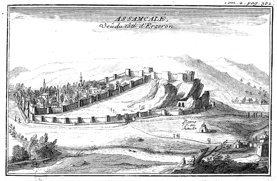 Tournefort Relation T2 p382 Assamcalé cot Erzeron