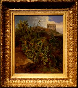 Tour et cactus 13034