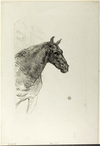 Toulouse-Lautrec - Philibert the Pony, 1931.453