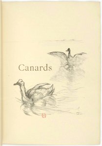 Toulouse-Lautrec - Histoires naturelles, 07