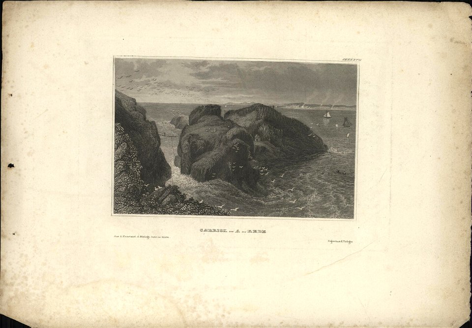 Touwbrug van Carrick-a-Rede, objectnr A 58359