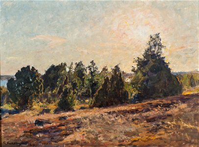 Towards Evening. Horsö in The Tjust archipelago (Gottfrid Kallstenius) - Nationalmuseum - 20239