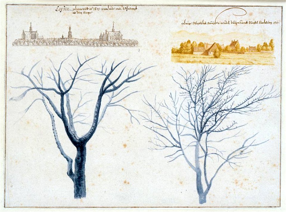 Towns & trees sheet of studies by Pieter Saenredam, 1620s