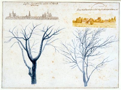 Towns & trees sheet of studies by Pieter Saenredam, 1620s