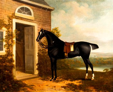 Equestrian portrait of horse standing next to house by Charles Towne