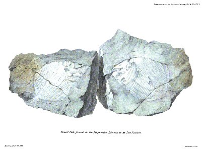 Transactions of the Geological Society, 1st series, vol. 4 plate page 0503