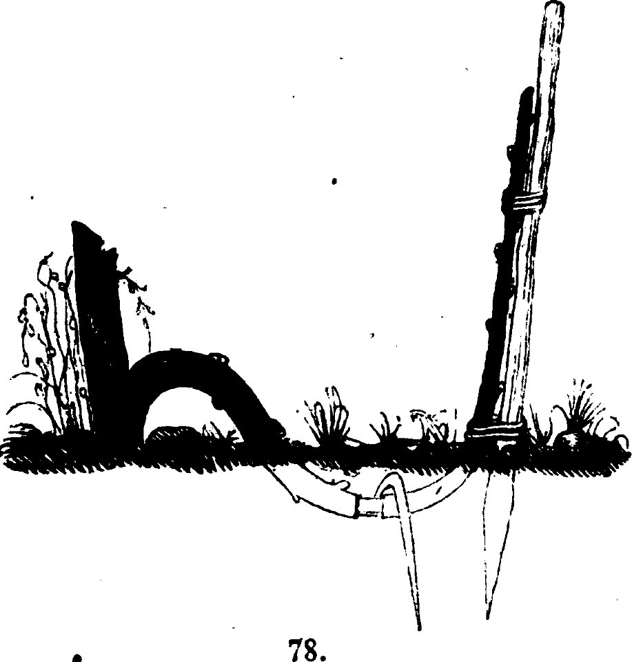 Trattato completo di agricoltura I fig054