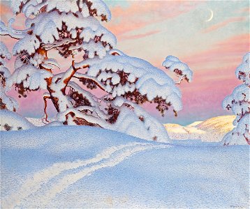 Trail in the Snow