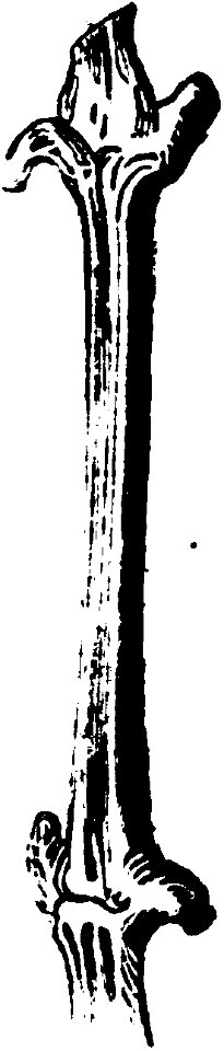 Trattato completo di agricoltura I fig118