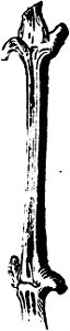 Trattato completo di agricoltura I fig118