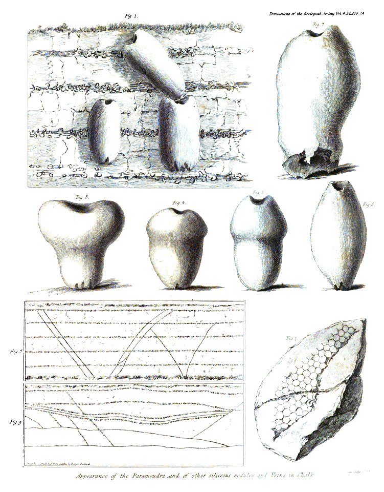 Transactions of the Geological Society, 1st series, vol. 4 plate page 0559