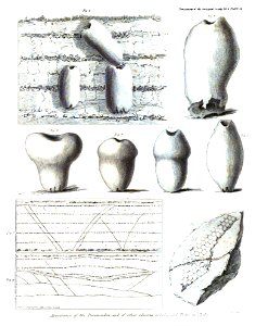 Transactions of the Geological Society, 1st series, vol. 4 plate page 0559