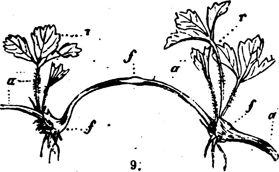 Trattato completo di agricoltura I fig001